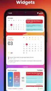 iOS Widgets скриншот 3